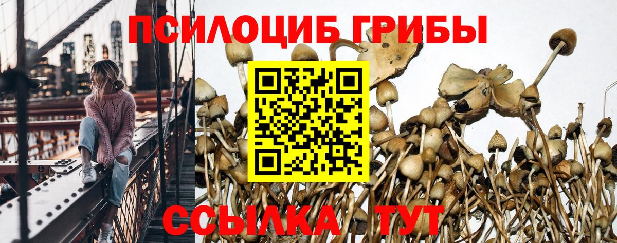 Гашиш Зима